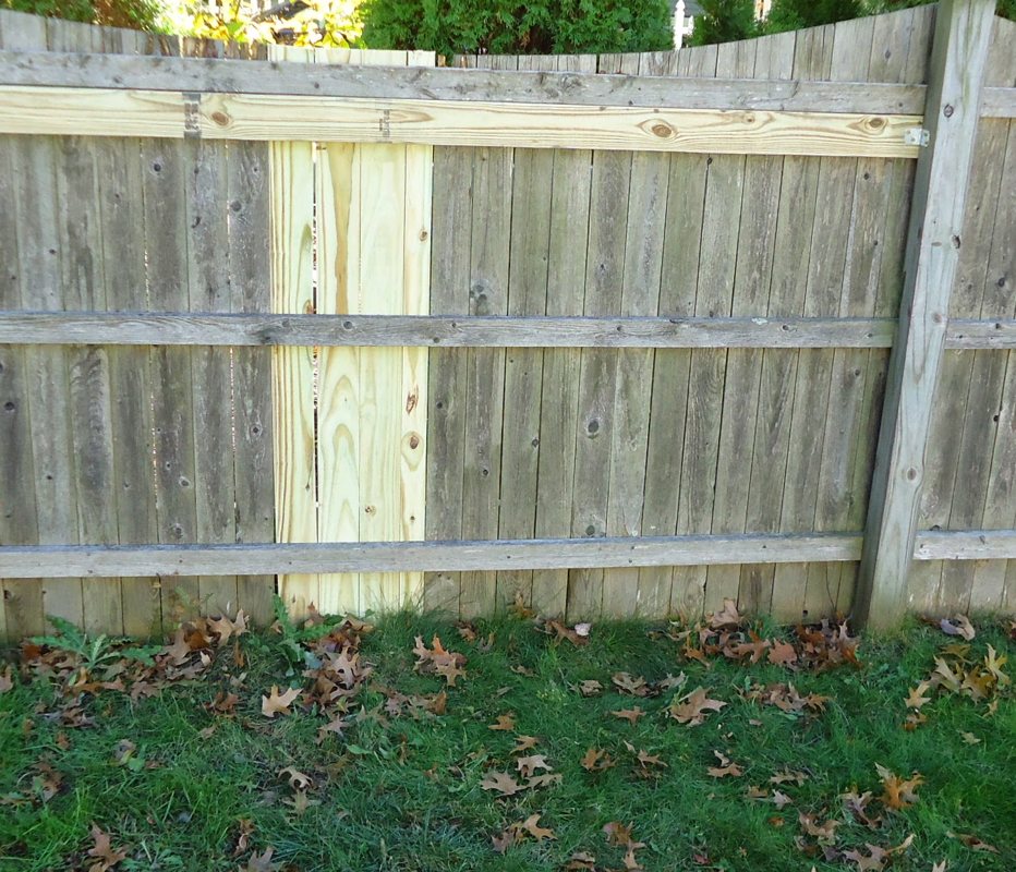 Residential wood fence section for repair planning
