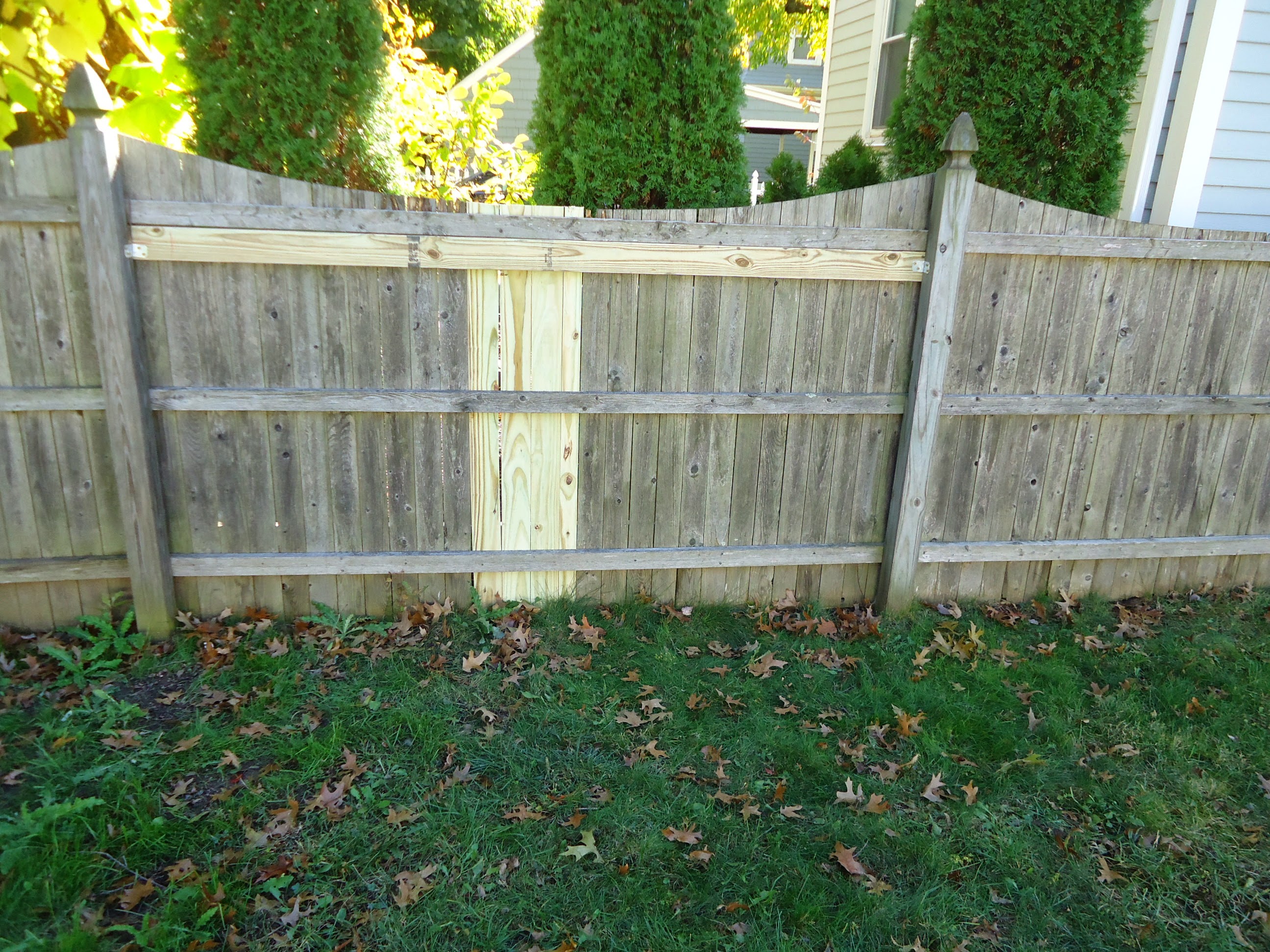 Wood privacy fence with new repair slats